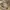 Kate Spade Luxury Casual Shoulder bag Wanita cream photo 8