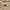 Kate Spade Luxury Casual Shoulder bag Wanita cream photo 3