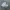Adidas Sportswear Sneakers Pria blue photo 2