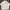 Y2K T-shirt Pria Cream
