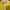 Vintage Sweater Pria yellow photo 2