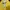 Vintage Sweater Pria Yellow