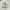 Crocs Streetwear Casual Wedge Wanita cream photo 3