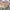 BESLOW Vintage Casual Casual pants Pria tan photo 2