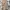 BESLOW Vintage Casual Casual pants Pria tan photo 3