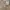 BESLOW Vintage Casual Casual pants Pria tan photo 4