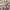 BESLOW Vintage Casual Casual pants Pria tan photo 1