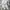 Japanese brand Casual Formal pants Pria cream photo 3