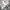 Japanese brand Casual Formal pants Pria cream photo 1