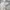 Japanese brand Casual Formal pants Pria cream photo 4