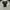 Harley Davidson Y2K Leather jacket Wanita cream photo 3
