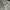 Harley Davidson Y2K Leather jacket Wanita cream photo 4