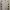 Nike Sportswear Casual Jersey Pria white photo 1