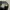 Burberry Luxury Minimalist Casual trouser Wanita black photo 5