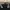 Burberry Luxury Minimalist Casual trouser Wanita black photo 4