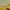 Earth, Music & Ecology Minimalist Cardigan Wanita yellow photo 2