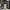 Vintage Y2K Jeans Pria cream tan photo 6