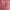 Coquette Bodycon dress Wanita pink photo 3