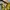 Juicy Couture Vintage Y2K Wanita yellow photo 5