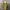 Juicy Couture Vintage Y2K Wanita Yellow
