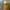 Juicy Couture Vintage Y2K Wanita yellow photo 2