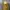 Juicy Couture Vintage Y2K Wanita Yellow