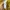 Juicy Couture Vintage Y2K Wanita yellow photo 7