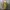 Juicy Couture Vintage Y2K Wanita yellow photo 4