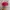 DSQUARED2 Vintage Skater Hat Pria red photo 4