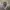 Vintage Y2K Skirt Wanita white photo 4