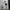 Stussy Streetwear Fleece Pria white black photo 1