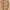 Luxury Prom dress Wanita cream photo 2