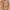 Luxury Prom Dress Wanita Cream