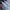 New Balance Sportswear Sneakers Pria silver white photo 5