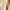 Luxury Casual Suit Pria cream photo 6