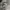 New Balance Sportswear Sneakers Wanita white black photo 2