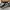 Nike Streetwear Sportswear Sneakers Pria white black photo 2