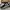 Nike Streetwear Sportswear Sneakers Pria White Black