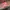 Pancoat Streetwear Y2K Hoody Pria pink photo 1