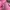 Pancoat Streetwear Y2K Hoody Pria pink photo 6