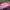 Pancoat Streetwear Y2K Hoody Pria pink photo 2