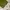 Streetwear Skater Sweatpants & Joggers Pria green photo 5