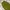 Streetwear Skater Sweatpants & Joggers Pria green photo 4