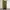 Streetwear Skater Sweatpants & Joggers Pria green photo 1