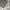 Streetwear Skater Jeans Pria gray photo 6
