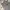Streetwear Skater Jeans Pria gray photo 4