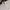 Vintage Y2K Polo shirt Pria white photo 2