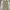 Uniqlo Streetwear Skater Casual pants Pria tan photo 2
