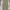 Uniqlo Streetwear Skater Casual Pants Pria Tan
