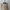 Vintage Streetwear Sweatshirt Pria cream photo 1